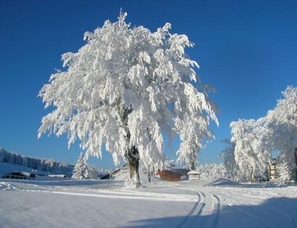 Appartamenti Dolomiti 莫埃纳 外观 照片
