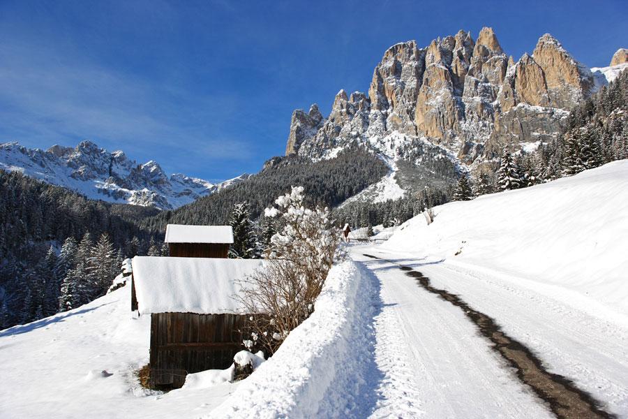 Appartamenti Dolomiti 莫埃纳 外观 照片
